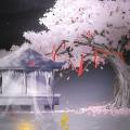 湫枫、灼夭 - 天涯明月