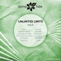 Luke Chable、Shiloh - Thank Ur Mother for the Rabbits (Luke Chable Mix)(Remix)