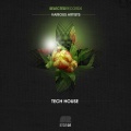 Selected Techouse