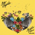 Big Gigantic、Naderi、ROZES、Logic - All of Me (feat. Logic, ROZES)(Naderi Remix) (Naderi Remix)