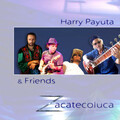 Harry Payuta - Rough Road