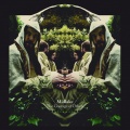 Midlake - Rose of Dawn