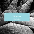 Mendoza - What You Need (Kevin Over Remix)
