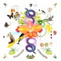 Toucan、Touchtalk - Pieces & Rules
