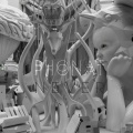 Phonat - Phase to Face