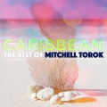Mitchell Torok - Sober Up