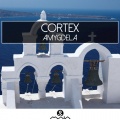 Cortex - Amygdala