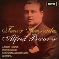 Alfred Piccaver - A Kiss in the Dark
