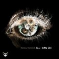 All I Can See
