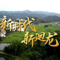 钟鹰乐 - 新时代新廻龙