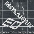 Evolution Overload - Mosaique (Dm Moon Remix)
