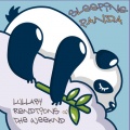 Sleeping Panda - Can't Feel My Face