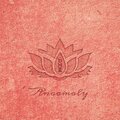 Anaamaly - I Radiate Healing Energy