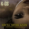 You'll Never Know (feat. Charlie Wilson)(Explicit)