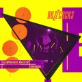 Buzzcocks - Mad Mad Judy