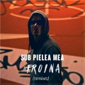 Carla's Dreams - Sub Pielea Mea (DJ Dark & M.D Remix, Radio Edit)