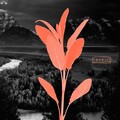 Altitude - The Power of Forces (Original Mix)