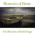 Brendan Madden - Banks of the Foyle