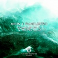 MKon、Pianolektro - Voices