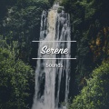 17 Sonidos Serenos para Proveer de Atención