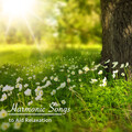 19 Harmonic Songs to Aid Calm and Relaxation