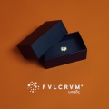 FVLCRVM - Words (Single Version)