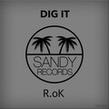 R.ok - Dig It (Original Mix)