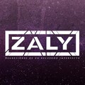 Zaly - Miss Mentira