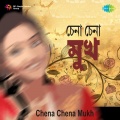 Dhananjoy Bhattacharya - Amai Tumi Bhulte Paro