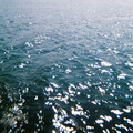 Water - BREATHE