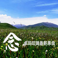 卓玛旺姆 - 念