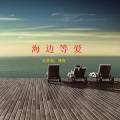 傅晓 - 海边等爱