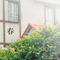 李昊霖 - 春