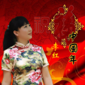胡贵春、李红 - 欢乐中国年