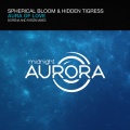 Hidden Tigress、Farzin、Spherical Bloom - Aura Of Love (Farzin Remix)