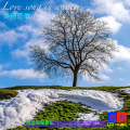 刘鸿 - 冬日恋歌Love song in winter