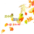 风中的落叶(新版)