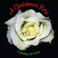 Chris、Catalina - A Christmas Rose