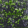 Pi-re、TingleM、Mike - Realize