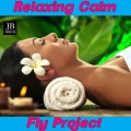 Relaxing Calm Music Compilation