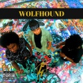 Blacklight、Fabe the Invincible、Ca$$inova - Drunk