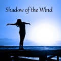 Shadow of the Wind - Anti Stress Music, Calming Nature Sounds, Relaxing Quiet Music with Sounds of Nature, White Noise 4 Deep Sleep