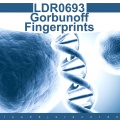 Gorbunoff - Fingerprints