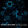 Vitaly Shturm - Moonlight Cruise