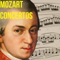 Salzburg Mozarteum - Horn Concerto No. 1 In D Major, K412 / 2. Rondo / Allegro