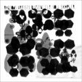 Pedro Madeira - Long Shadows