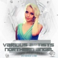 Vito Von Gert - Northern Angel (Continuous Dj Mix版)(Remix)
