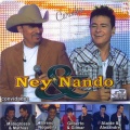 Gilberto、Gilmar、Ney e Nando - Ela Entendeu Errado