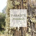 Massivan - Percussed Interlude