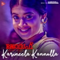 Karineela Kannulla Pennu